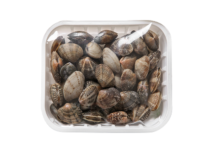 조개(바지락) 1kg