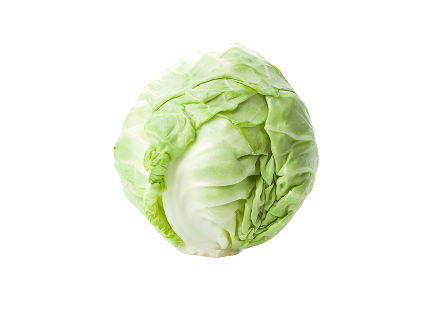 양배추(국산) 1통