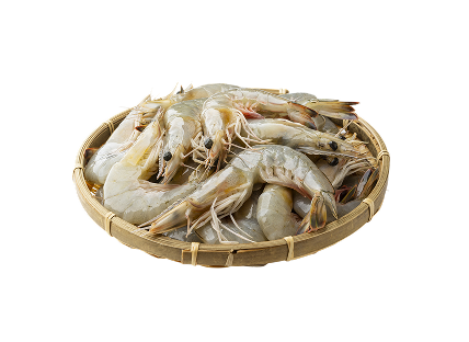 새우(대하, 국산) 1kg