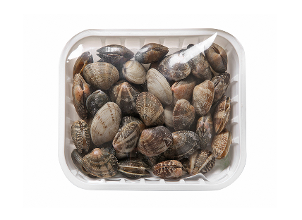 조개(바지락) 1kg