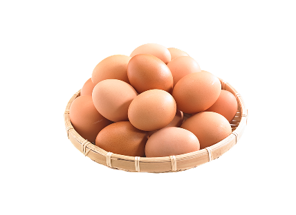 계란 10개