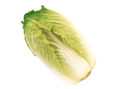 배추(여름) 1포기