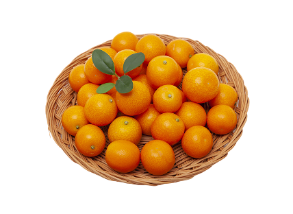 귤(제주산) 10개