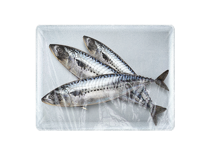 고등어(염장) 1손(중)